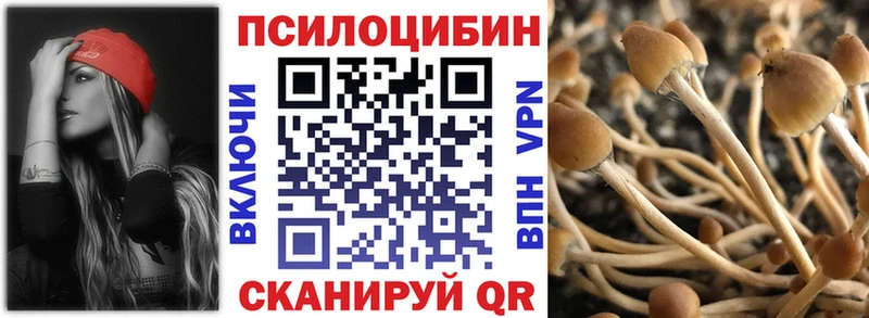 Псилоцибиновые грибы ЛСД  Купить где  Лодейное Поле 
