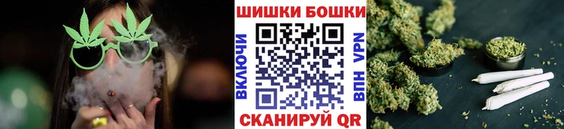 Купить где Лодейное Поле Шишки марихуана гибрид